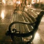 City Lights SOTW #33